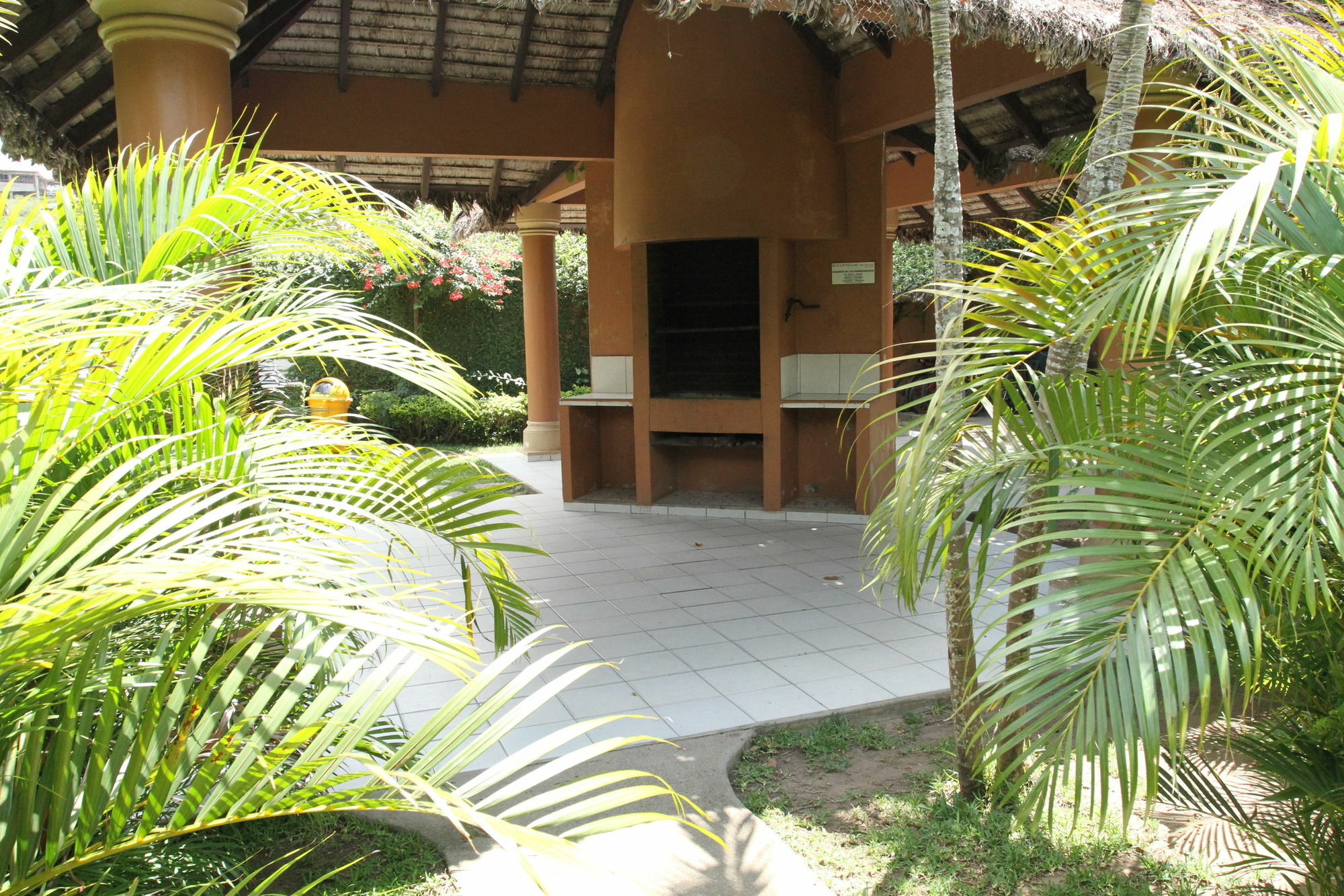Buganvillas Santa Cruz de La Sierra